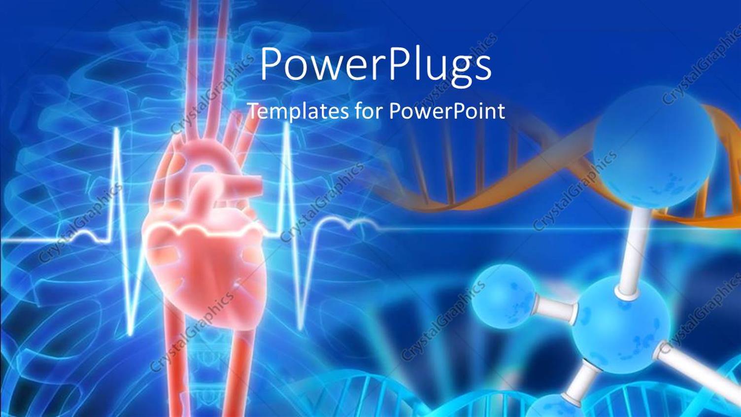 Premium Template for PowerPoint & Google Slides 