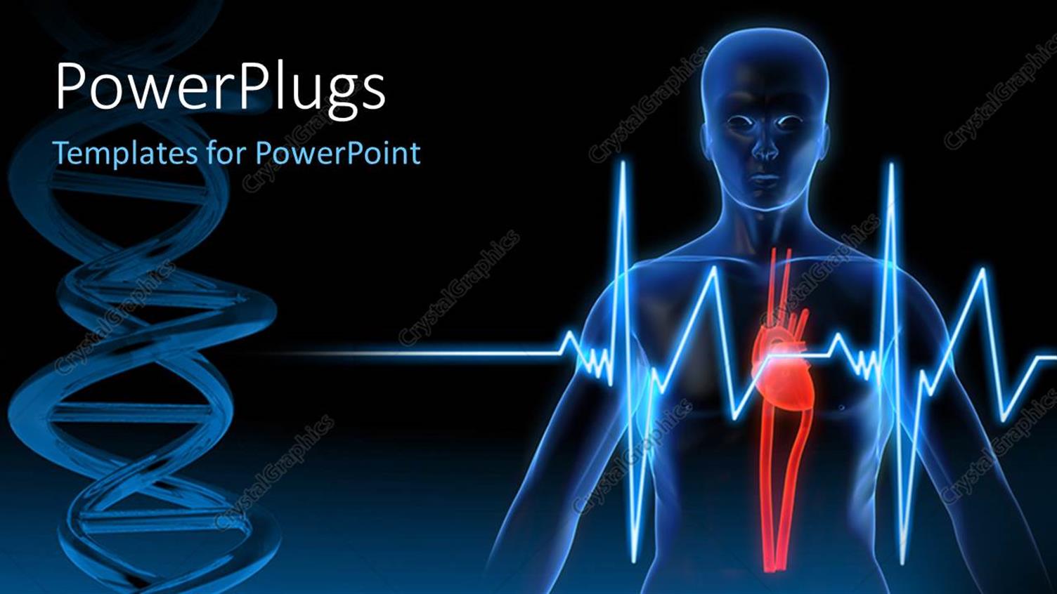 Premium Template for PowerPoint & Google Slides 