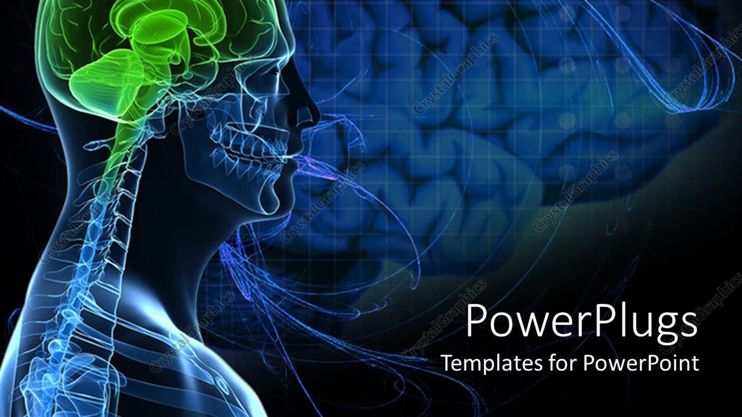 Premium Template for PowerPoint & Google Slides 