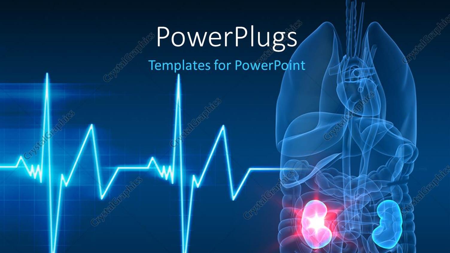 Premium Template for PowerPoint & Google Slides 