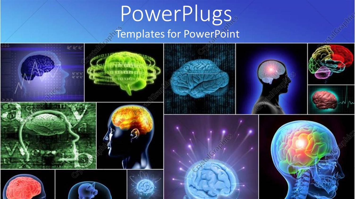 Premium Template for PowerPoint & Google Slides 
