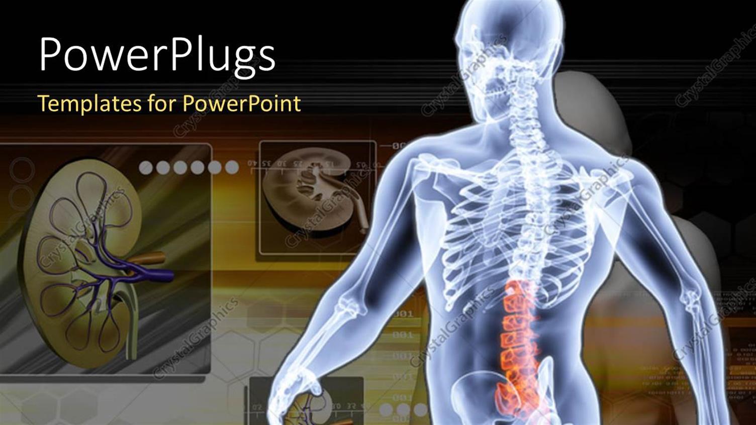 Premium Template for PowerPoint & Google Slides 