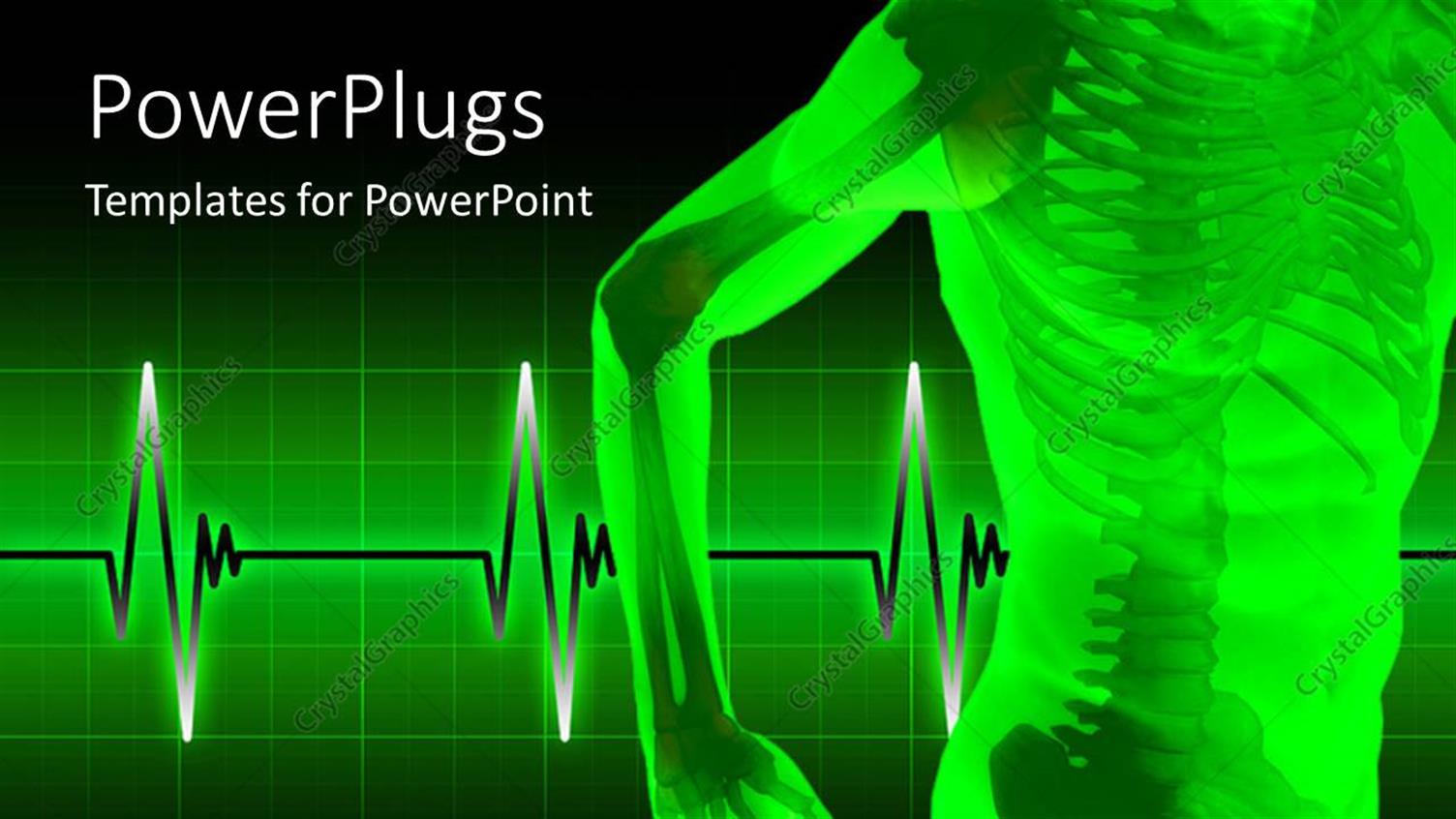 Premium Template for PowerPoint & Google Slides 