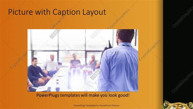 Picture with Caption presentation slide layout
