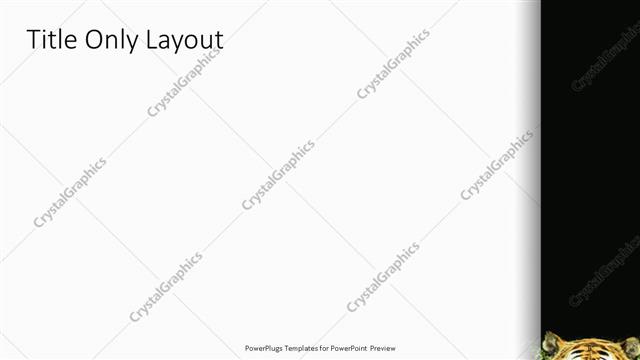 Title Only presentation slide layout