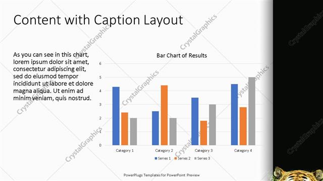 Content with Caption presentation slide layout