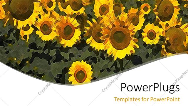  Presentation with animated nature - Animated blurry depiction of a lot of sun flowers