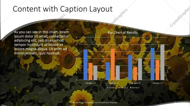 Content with Caption presentation slide layout