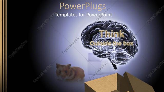  Presentation with cat - Animated depiction of an open box with a brain and a cat