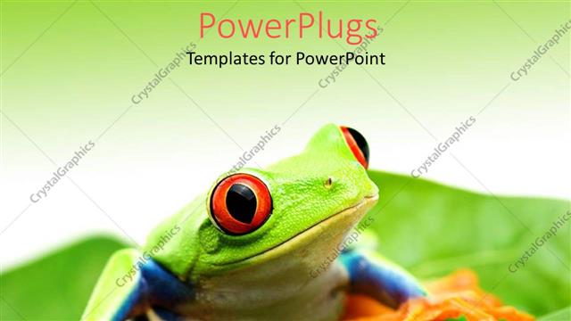  Presentation with green leaf - An animated frog sitting on a leaf with green background
