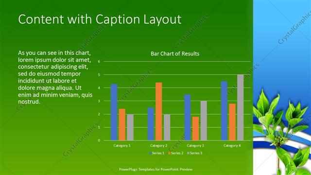 Content with Caption presentation slide layout