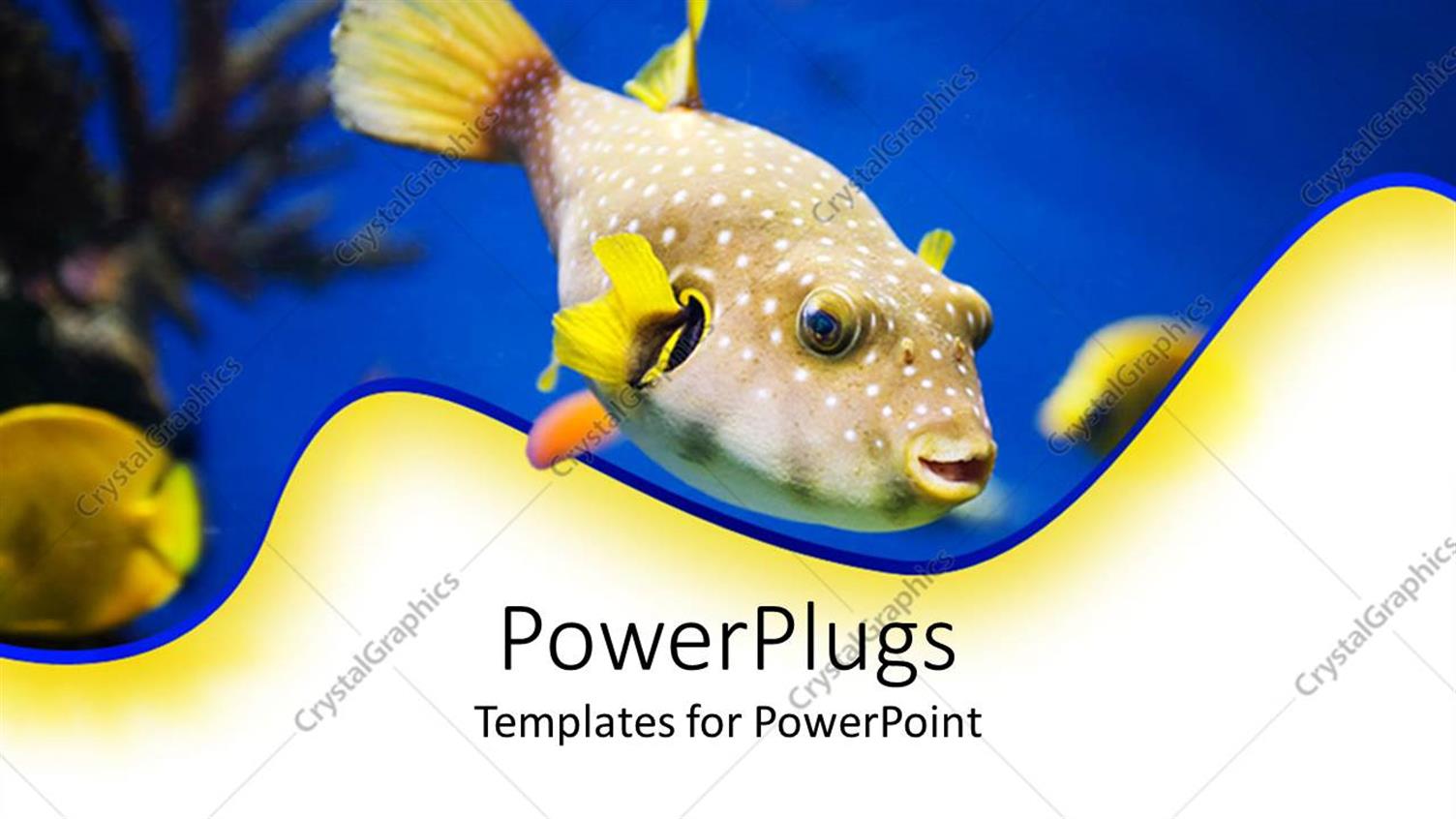 Featuring the Aquatic Life in the Ocean Depicted with the Help of a Beautiful Fish