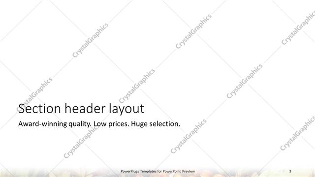 Section Header presentation slide layout