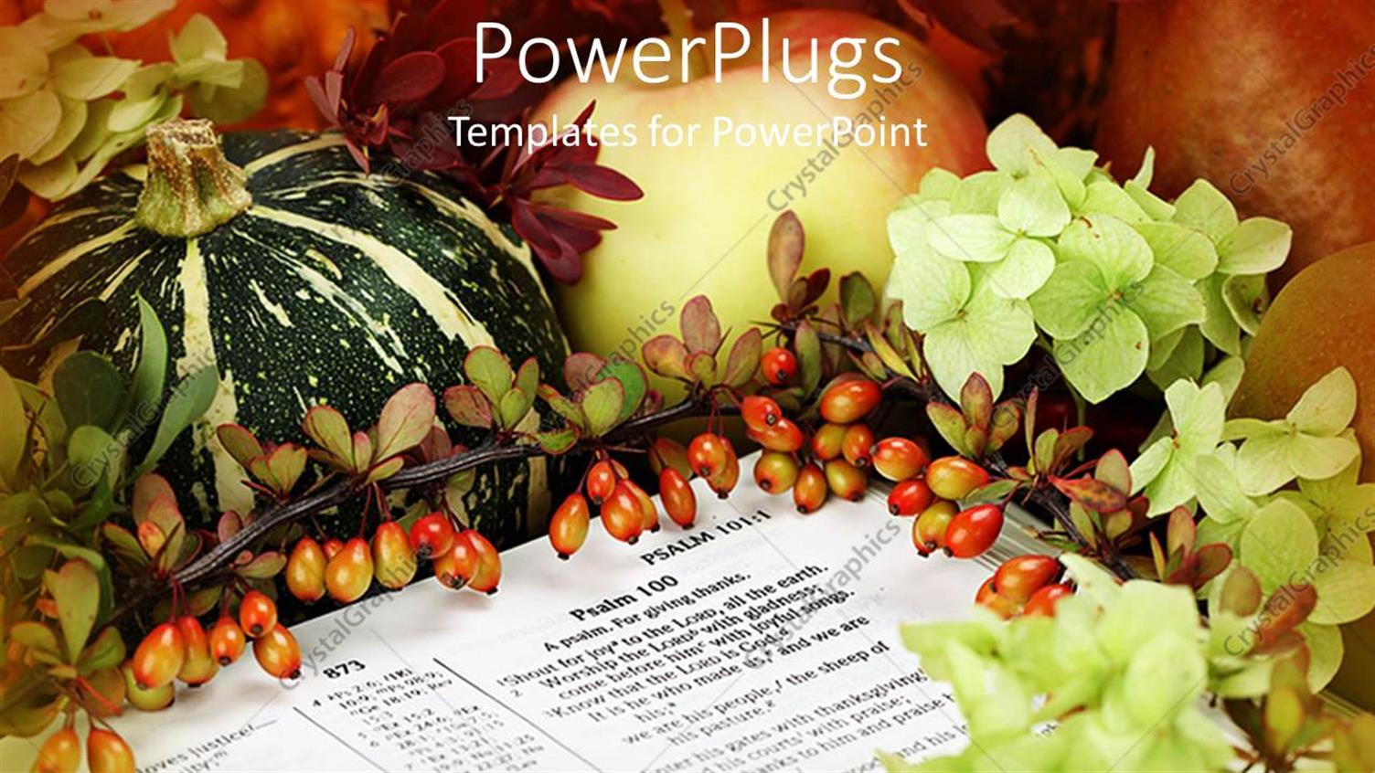 Premium Template for PowerPoint & Google Slides 