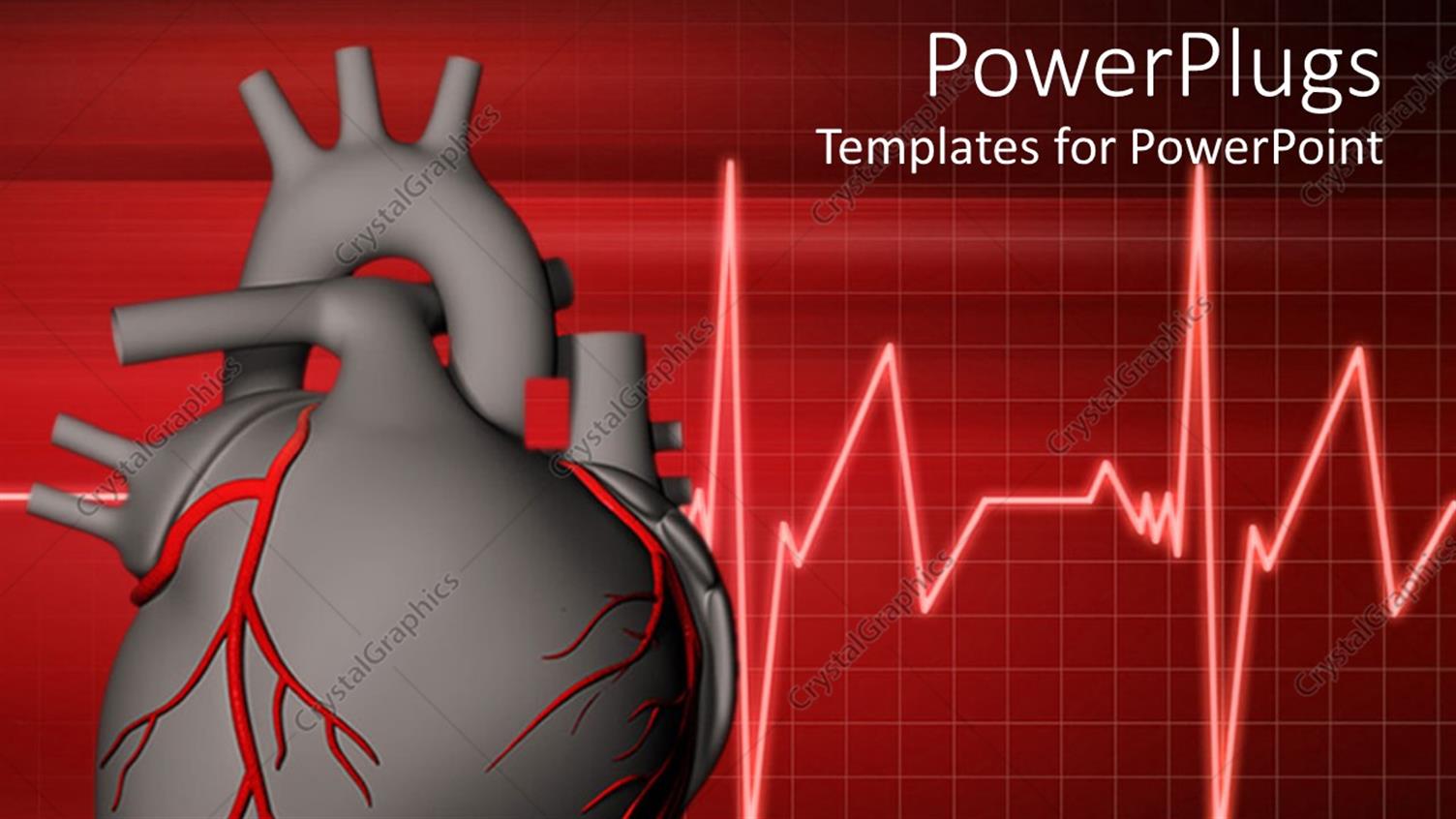 Premium Template for PowerPoint & Google Slides 