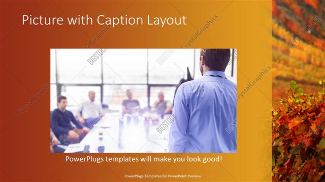 Picture with Caption presentation slide layout