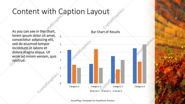 Content with Caption presentation slide layout