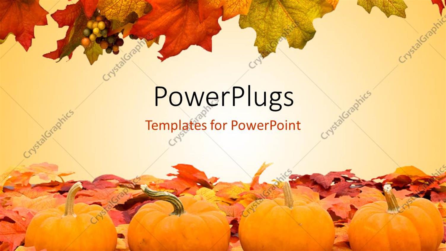 Premium Template for PowerPoint & Google Slides 