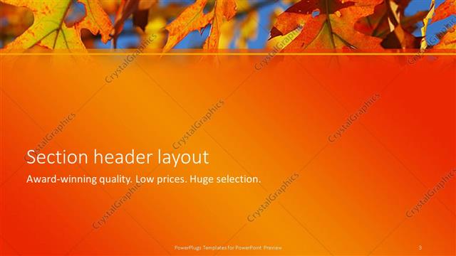Section Header presentation slide layout