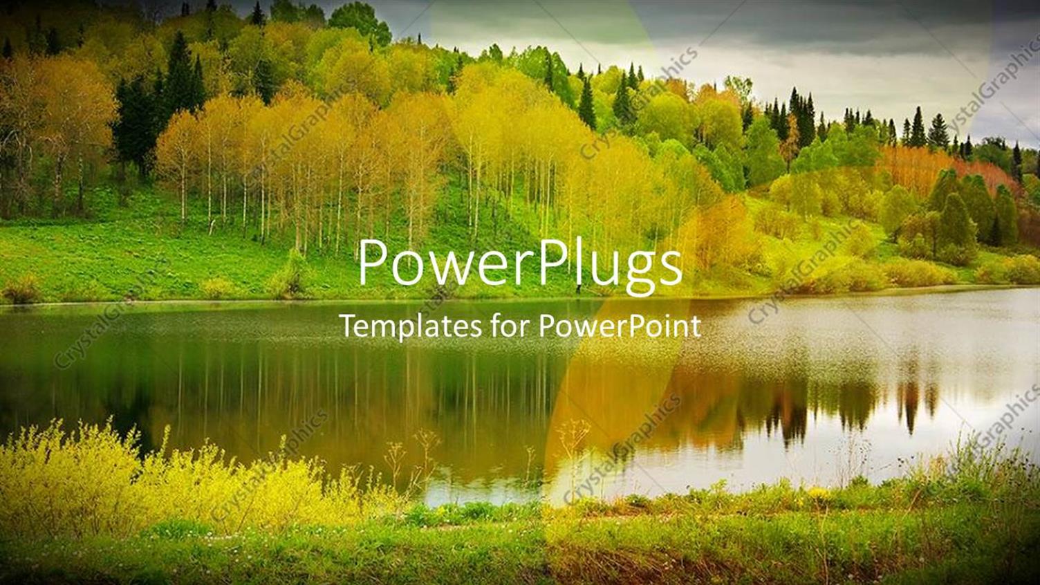 Premium Template for PowerPoint & Google Slides 