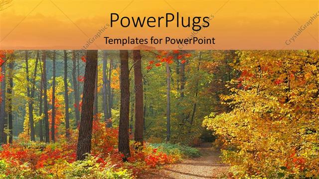  Presentation with yellow orange - Autumn in forest with orange yellow and red leaves trail