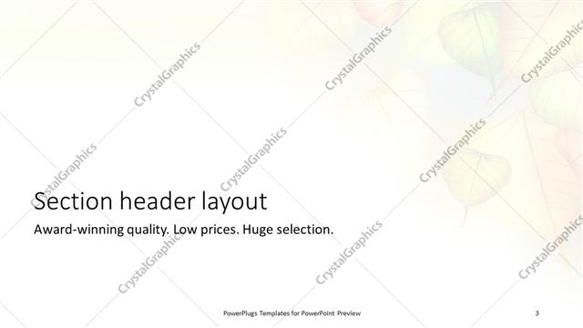 Section Header presentation slide layout