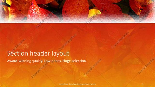 Section Header presentation slide layout