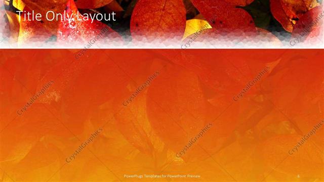 Title Only presentation slide layout