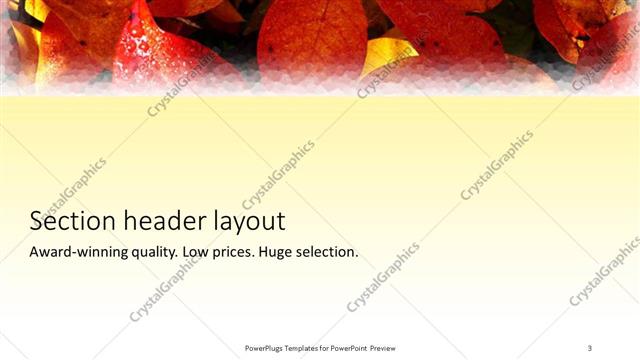 Section Header presentation slide layout