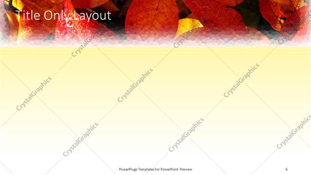 Title Only presentation slide layout