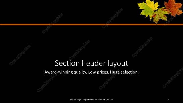 Section Header presentation slide layout