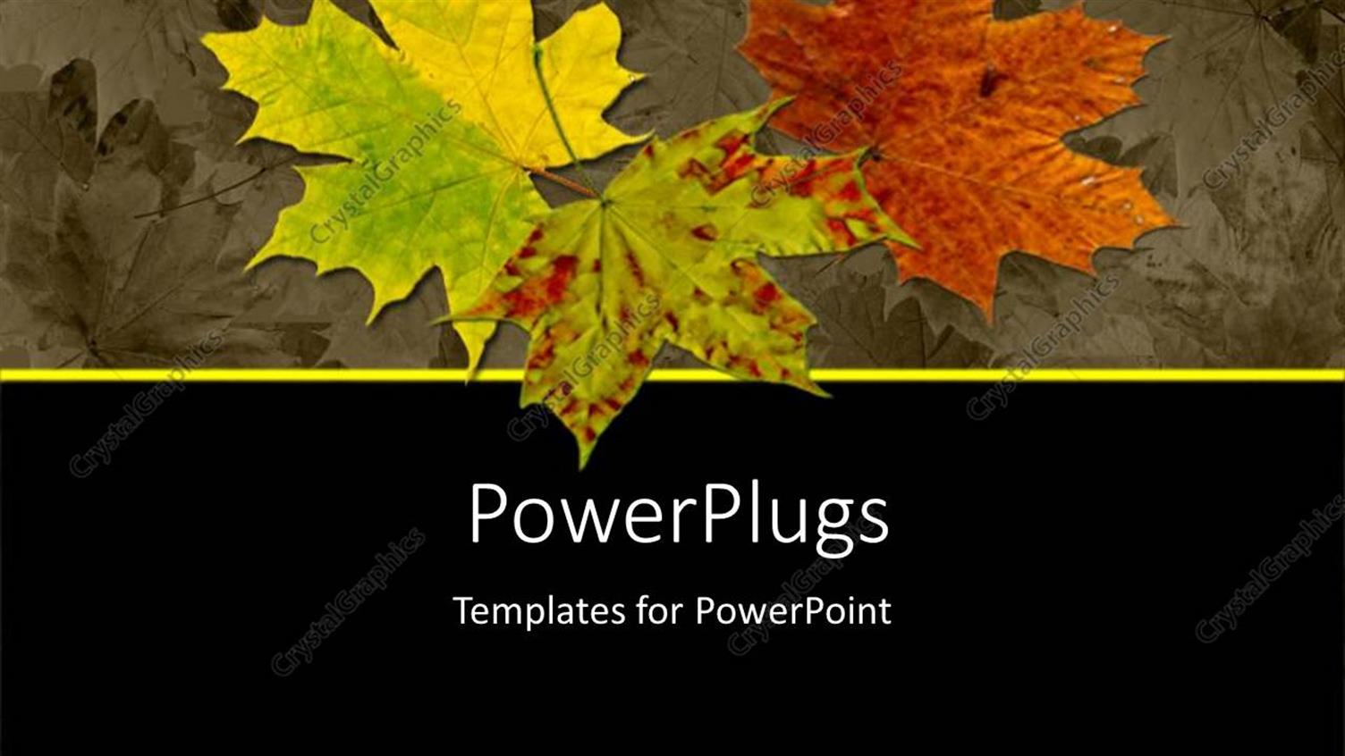 Premium Template for PowerPoint & Google Slides 