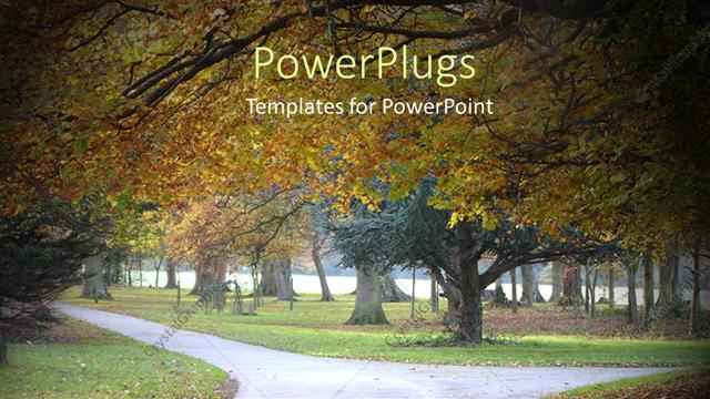  Presentation with autumn - Autumn park with trail orange and red leaves grass cold day