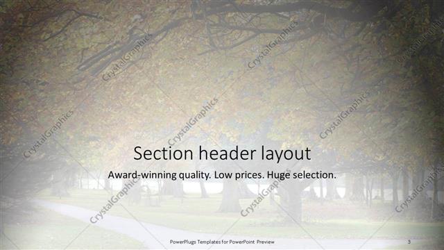 Section Header presentation slide layout