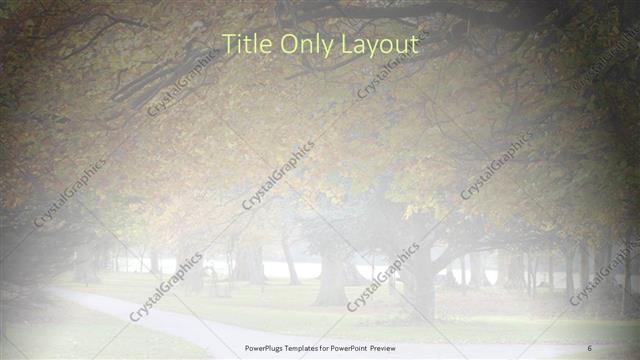 Title Only presentation slide layout