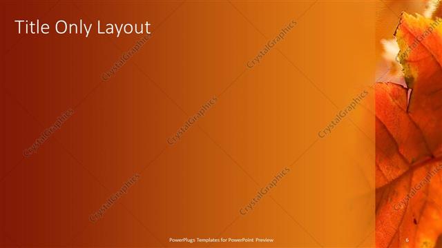 Title Only presentation slide layout