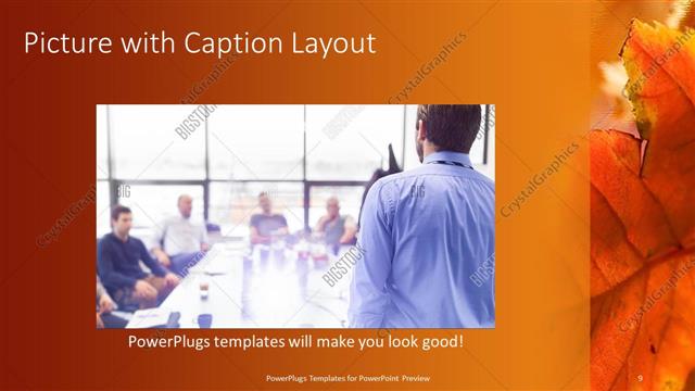 Picture with Caption presentation slide layout