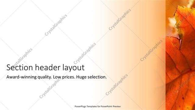 Section Header presentation slide layout