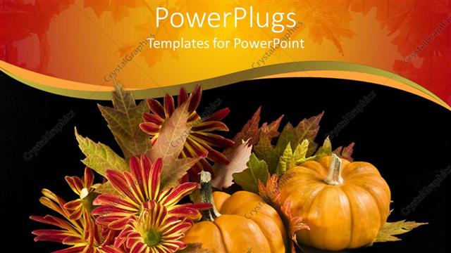  Presentation with season - Autumn season with two pumpkins on a black background