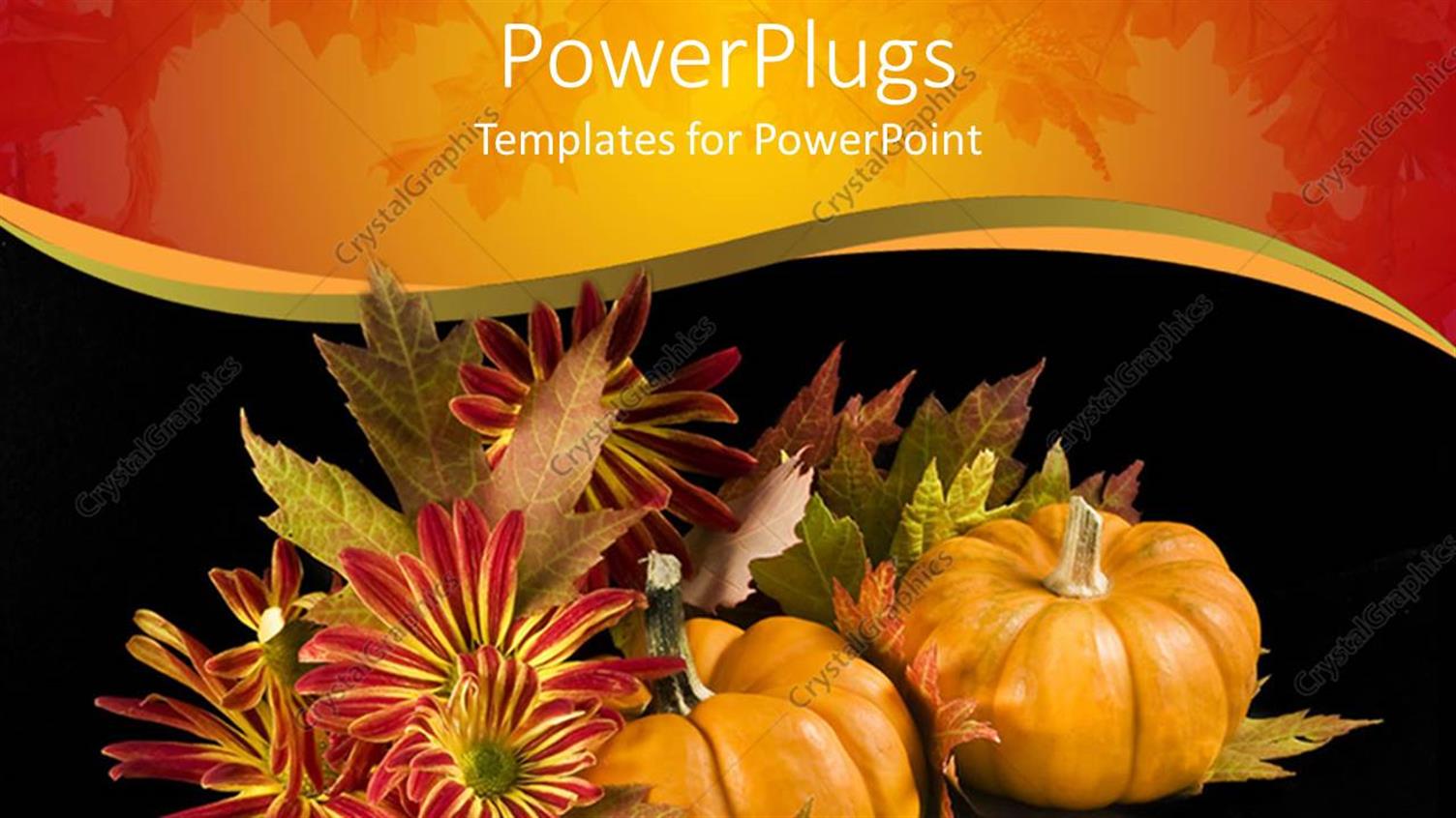 Premium Template for PowerPoint & Google Slides 