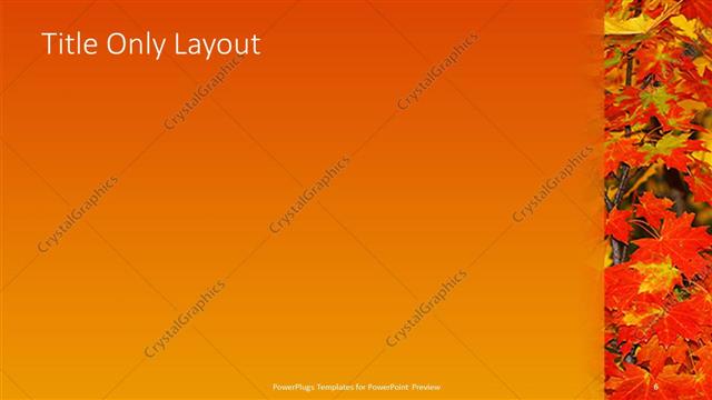 Title Only presentation slide layout