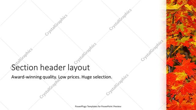 Section Header presentation slide layout