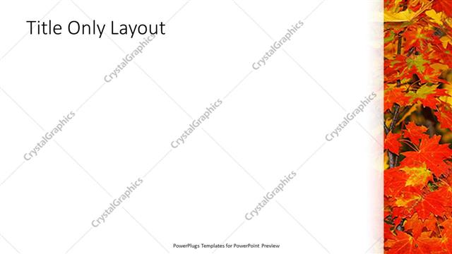 Title Only presentation slide layout