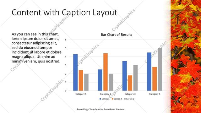 Content with Caption presentation slide layout