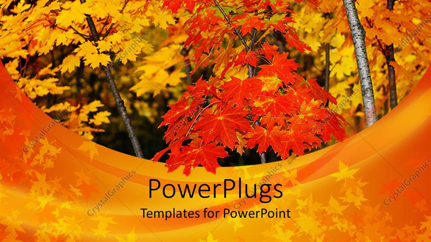 Premium Template for PowerPoint & Google Slides 