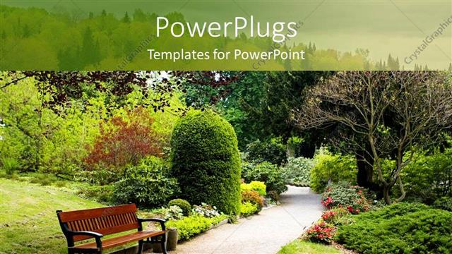  Presentation with autumn - An autumn walk in the green park with a bench on a green background