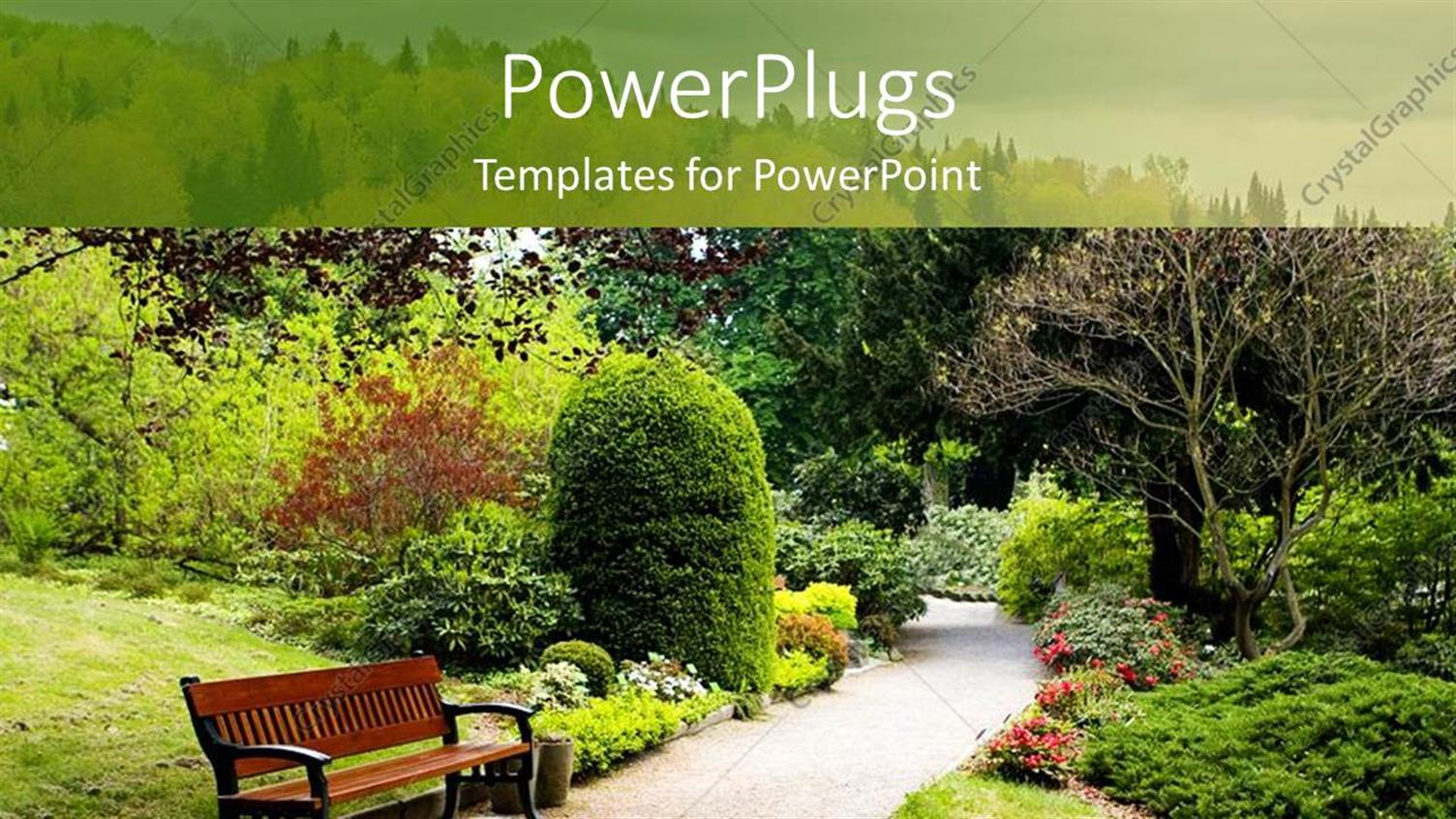 Premium Template for PowerPoint & Google Slides 