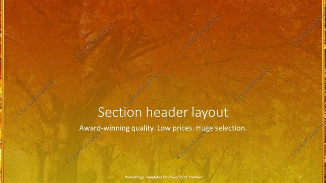 Section Header presentation slide layout