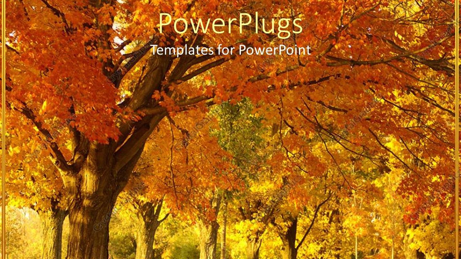 Premium Template for PowerPoint & Google Slides 