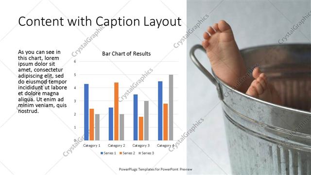 Content with Caption presentation slide layout